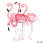 Akvarell flamingók vászonkép, poszter vagy falikép