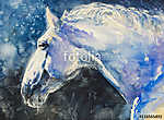 Fehér ló kék stílusban (akvarell) vászonkép, poszter vagy falikép