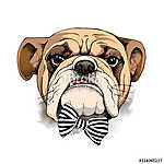 Bulldog portrait in a tie. Vector illustration. (id: 14495) poszter