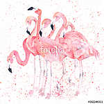 Akvarell flamingók splash. Festmény kép vászonkép, poszter vagy falikép