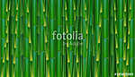 Zöld bambusz háttér. vászonkép, poszter vagy falikép