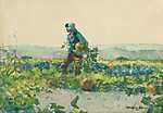 Winslow Holmer: A farmer fia, 1887 (id: 2599) falikép keretezve