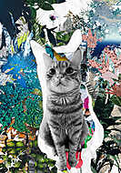 Cat&Fly (MenzArt) vászonkép, poszter vagy falikép