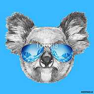 Portrait of Koala with mirror sunglasses. Hand drawn illustratio vászonkép, poszter vagy falikép