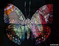 Grunge butterfly vászonkép, poszter vagy falikép