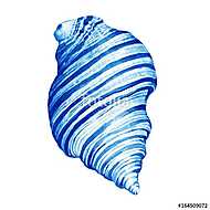 Illustrations of blue sea shells. Marine design. Hand drawn wate vászonkép, poszter vagy falikép