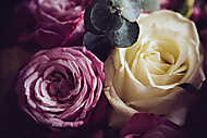 Elegant bouquet vászonkép, poszter vagy falikép