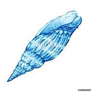 Illustrations of blue sea shells. Marine design. Hand drawn wate vászonkép, poszter vagy falikép