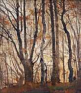 Őszi erdő (színverzió 1) vászonkép, poszter vagy falikép