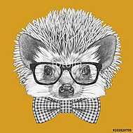 Portrait of Hedgehog with glasses and bow tie. Hand drawn illust vászonkép, poszter vagy falikép