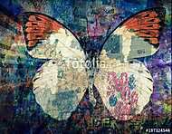 grunge Butterfly background texture vászonkép, poszter vagy falikép