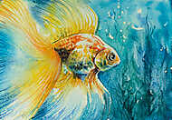 Aranyhal (akvarell) vászonkép, poszter vagy falikép