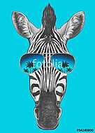 Portrait of Zebra with mirror sunglasses. Hand drawn illustratio vászonkép, poszter vagy falikép