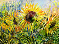 Sunflowers vászonkép, poszter vagy falikép