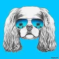 Portrait of Cavalier King Charles Spaniel with mirror sunglasses vászonkép, poszter vagy falikép