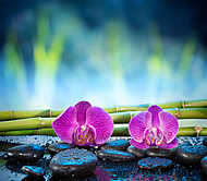 A háttérben található orchideák kõ és bambusz a kertben vászonkép, poszter vagy falikép