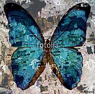 grunge butterfly vászonkép, poszter vagy falikép
