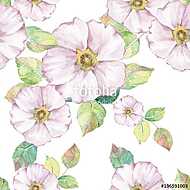 Delicate white flowers. Hand drawn watercolor floral seamless pa vászonkép, poszter vagy falikép