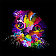 scottish fold cat's head is colorful in the dark vászonkép, poszter vagy falikép