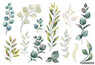 Hand drawn vector watercolor set of herbs, wildflowers and spice vászonkép, poszter vagy falikép