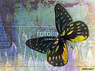 butterfly( Thai background ) vászonkép, poszter vagy falikép