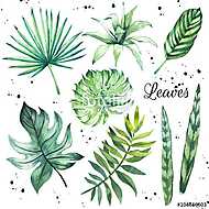 Illustration with tropical leaves. Watercolor set of green leave vászonkép, poszter vagy falikép