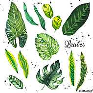 Illustration with tropical leaves. Watercolor set of green leave vászonkép, poszter vagy falikép