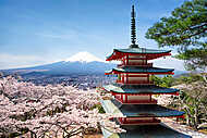 Tavasz és Sakura a Chureito pagoda Japánban Fujiyoshida vászonkép, poszter vagy falikép