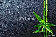spa háttér - cseppek és bambusz fekete vászonkép, poszter vagy falikép
