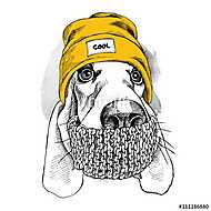Portrait of Basset Hound dog in a Hipster hat and with scarf. Ve vászonkép, poszter vagy falikép