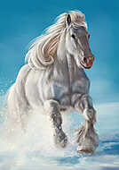 Vágtató ló a hóban vászonkép, poszter vagy falikép