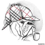 The Image Portrait of a dog Bulldog wearing the deerstalker and vászonkép, poszter vagy falikép