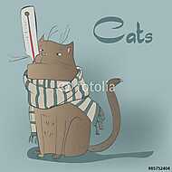 macska hőmérővel vászonkép, poszter vagy falikép