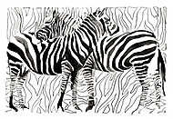 zebrák vászonkép, poszter vagy falikép