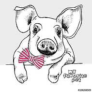 Image of a small pig with a bow. Vector illustration. vászonkép, poszter vagy falikép