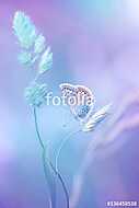 Beautiful light-blue butterfly on blade of grass on a soft lilac vászonkép, poszter vagy falikép
