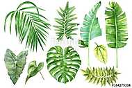 Set of tropical watercolor leaves vászonkép, poszter vagy falikép