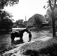 Tata, Malom-patak (1942) vászonkép, poszter vagy falikép