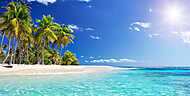 Palm Beach In Tropical Paradise - Guadalupe Island - Caribbean vászonkép, poszter vagy falikép