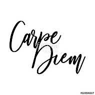 Carpe Diem. Beautiful message. It can be used for website design, t-shirt, phone case, poster, mug etc. vászonkép, poszter vagy falikép