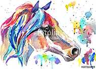 Horse head. Color watercolor illustration. Hand drawn vászonkép, poszter vagy falikép