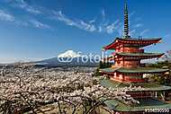 Mount Fuji pagoda és cseresznyefákkal, Japánban vászonkép, poszter vagy falikép