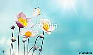 Colorful floral spring background. White and pink anemones flowe vászonkép, poszter vagy falikép