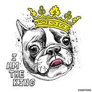 Image Portrait of French bulldog in a yellow crown. Vector illus vászonkép, poszter vagy falikép