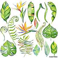 Watercolor tropical leaves vászonkép, poszter vagy falikép