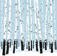 Nyírfa erdő illusztráció kék háttérrel vászonkép, poszter vagy falikép