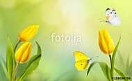 Spring floral template background. A beautiful bouquet of yellow vászonkép, poszter vagy falikép