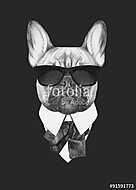 Portrait of French Bulldog in suit. Hand drawn illustration. vászonkép, poszter vagy falikép