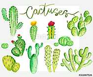 Watercolor cactus set vászonkép, poszter vagy falikép