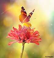 Vintage macro photo of butterfly on a flower in the light of sun vászonkép, poszter vagy falikép